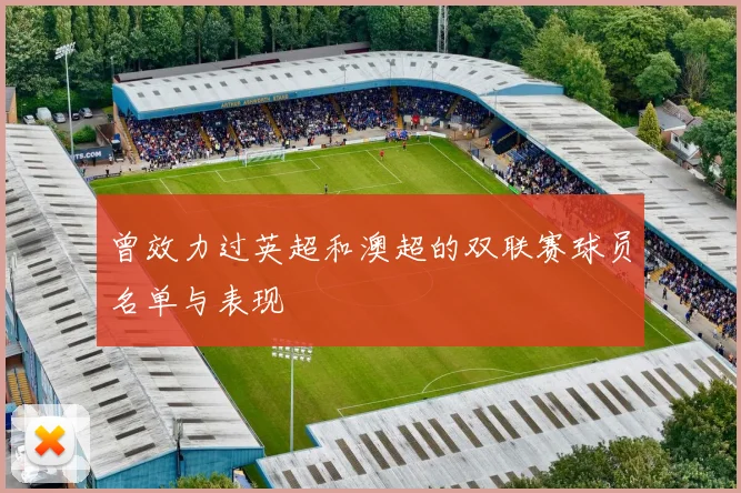 曾效力过英超和澳超的双联赛球员名单与表现