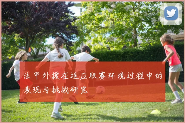 法甲外援在适应联赛环境过程中的表现与挑战研究