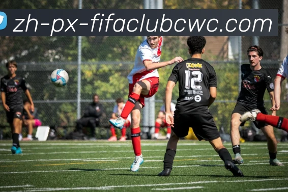 世界杯平台平台生态图