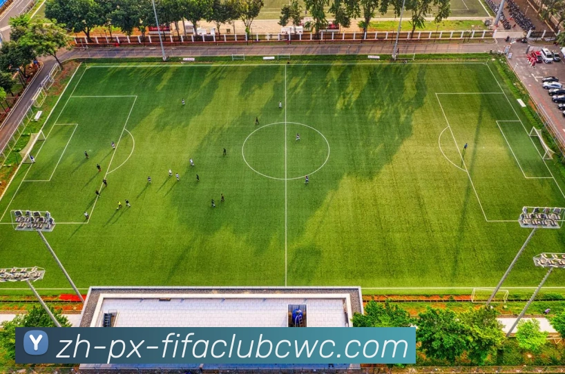 数据防护可视化