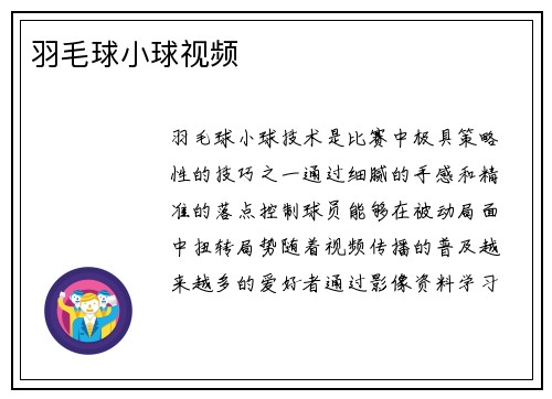 羽毛球小球视频